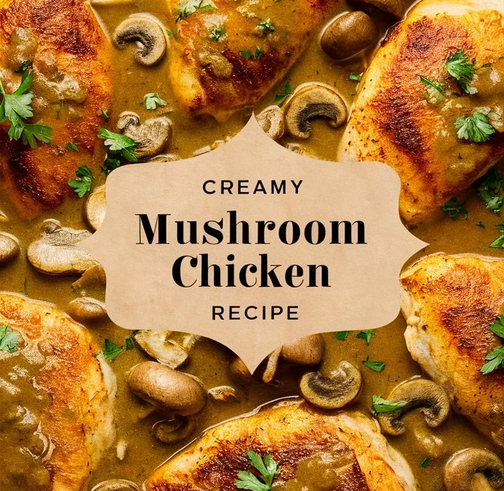 Creamy Mushroom Chicken Recipe