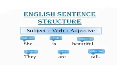English Sentence Structure Practice for Beginners