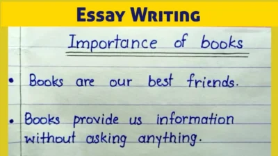 English Essay Writing