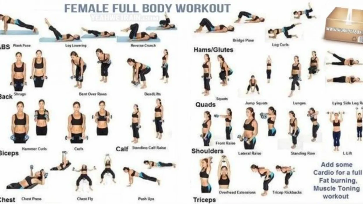 full body workout