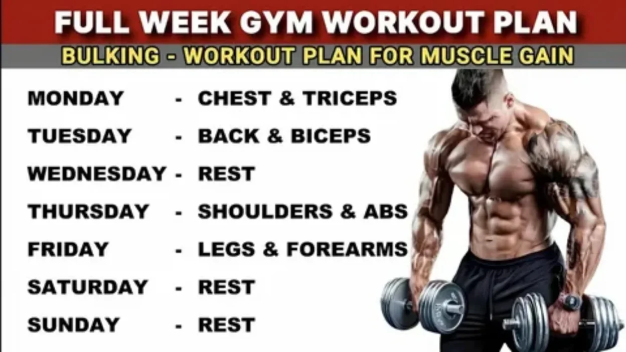 Muscle Gain Workout Plan