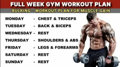 Muscle Gain Workout Plan